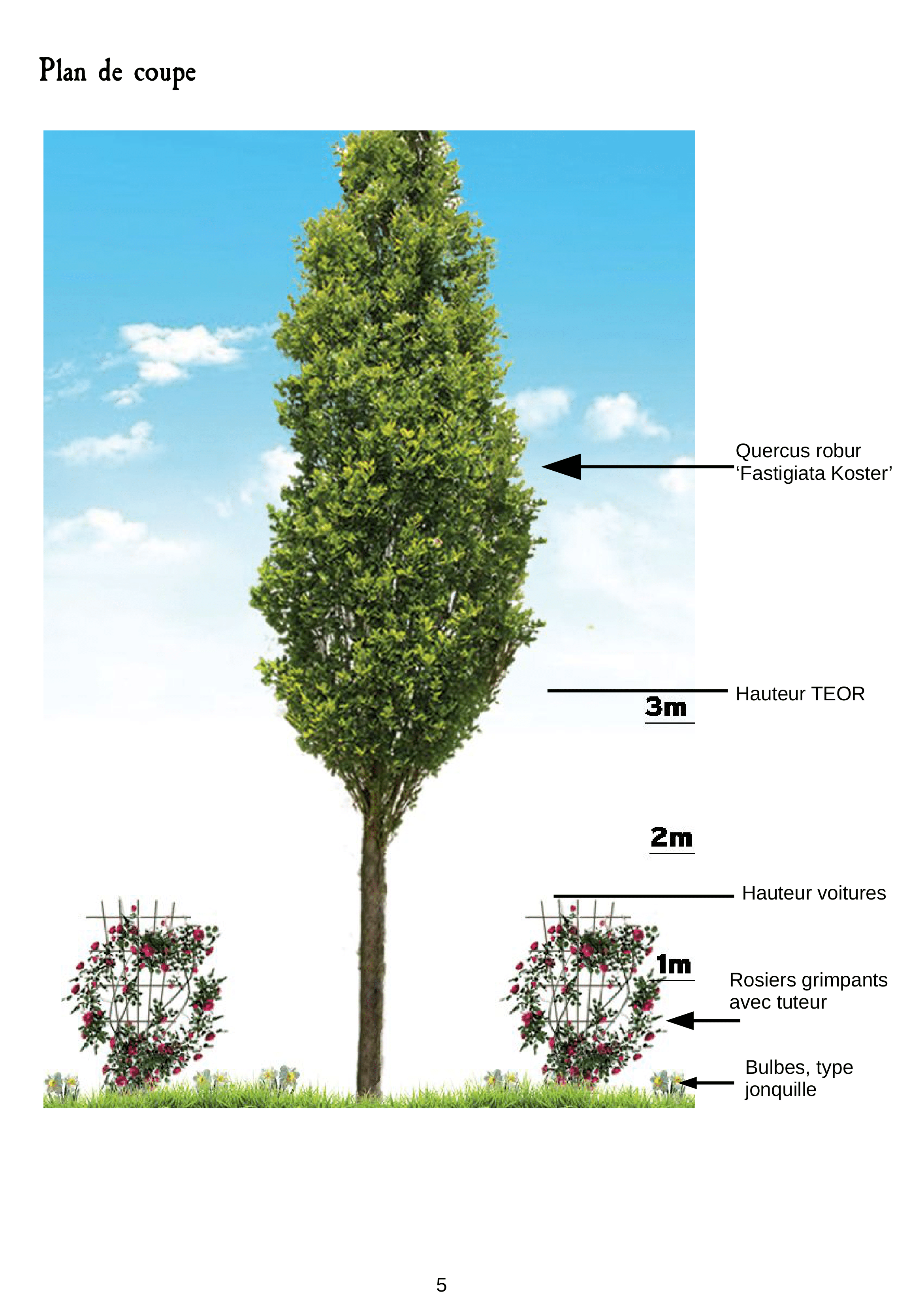 MSA et ses espaces verts