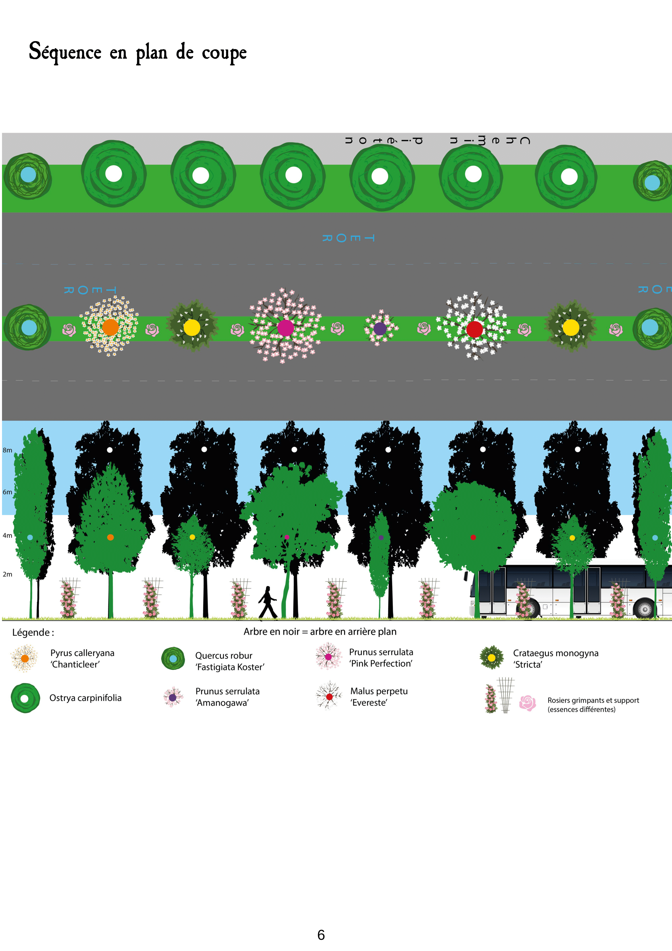 MSA et ses espaces verts