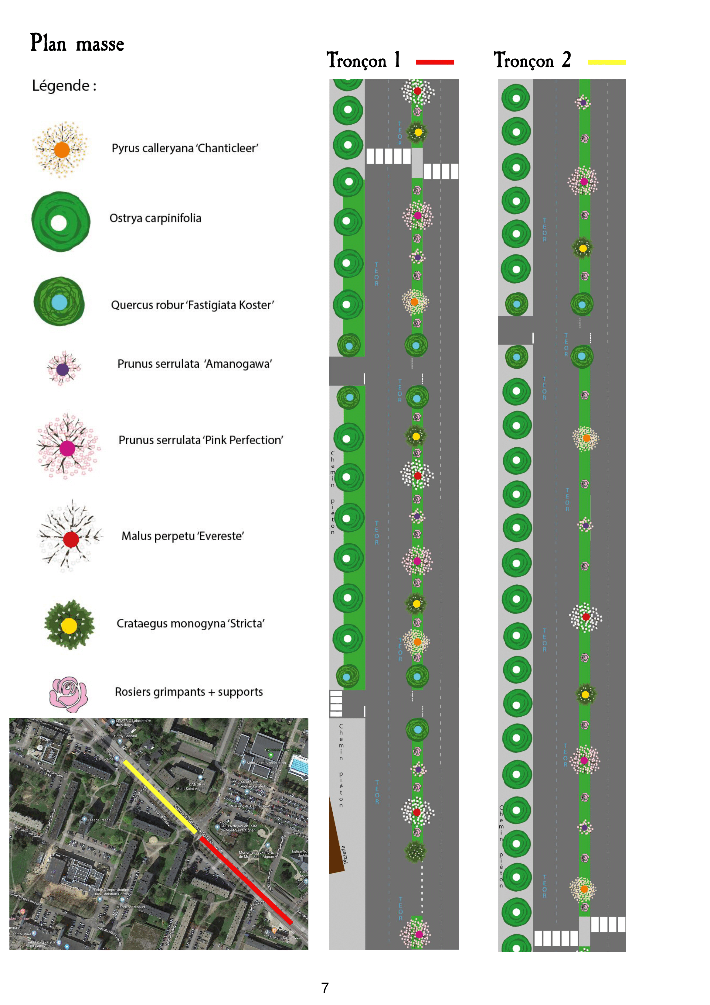 MSA et ses espaces verts