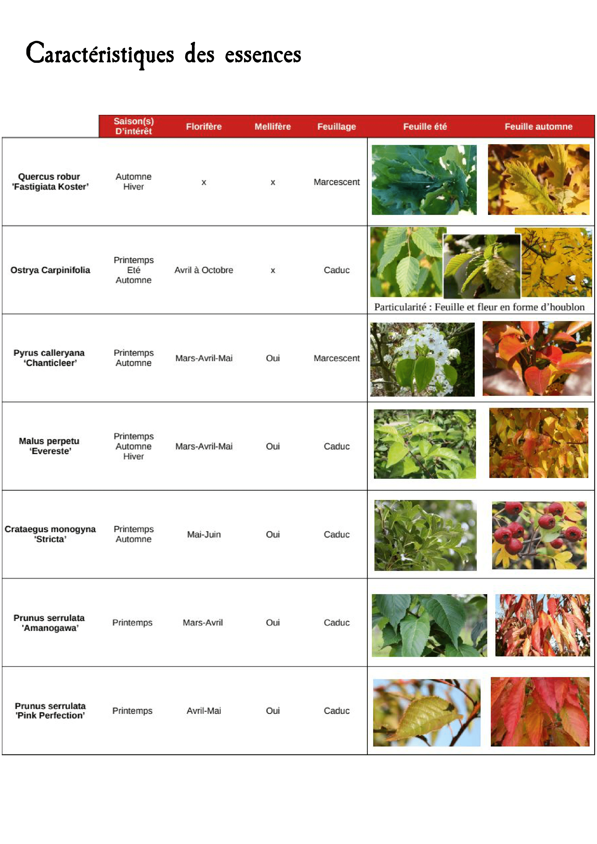 MSA et ses espaces verts