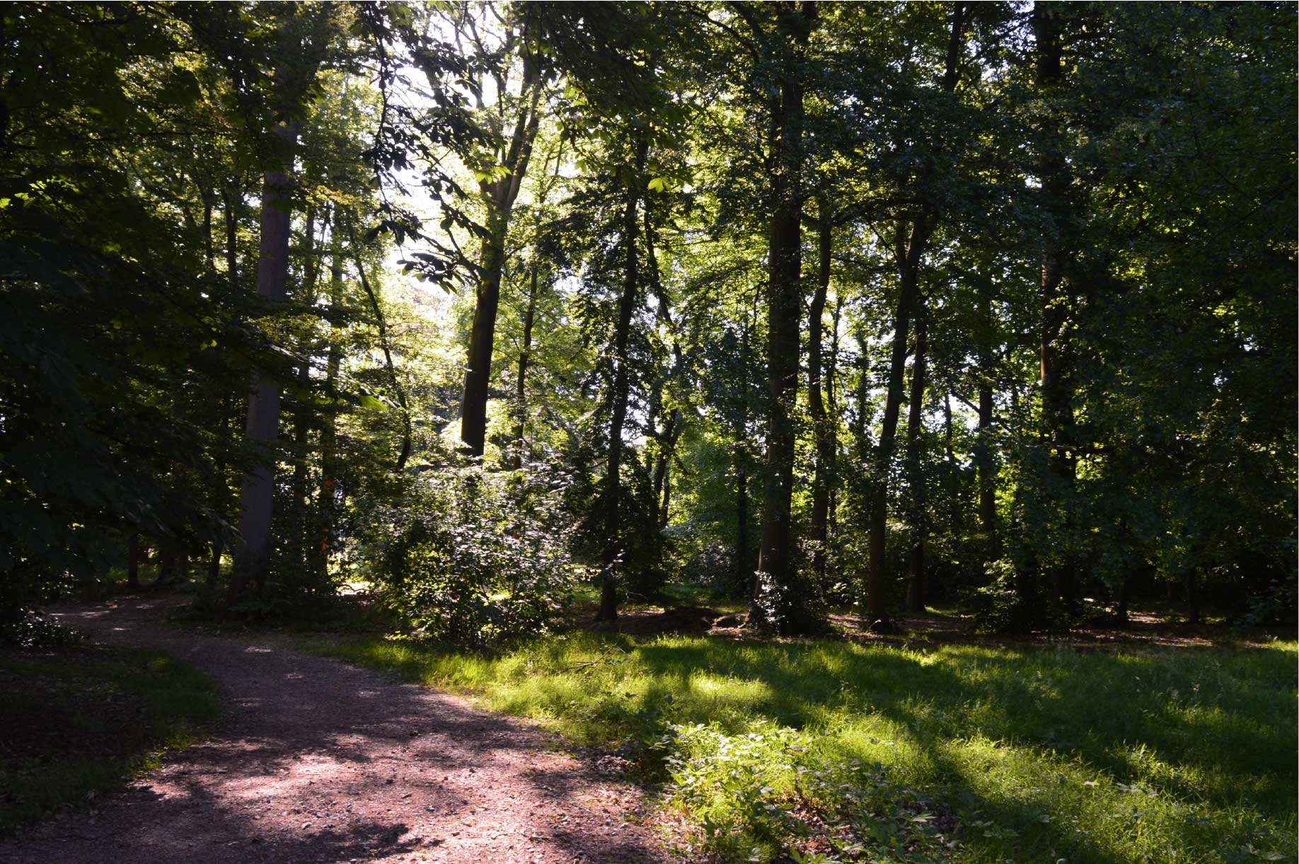 MSA, territoire engagé pour la nature